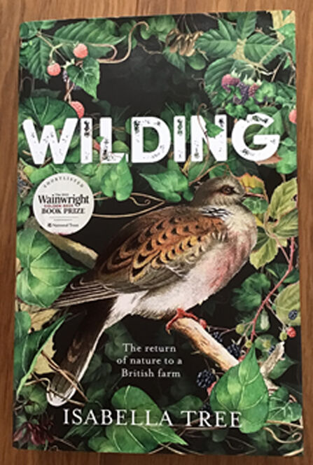 Libro "Wilding: The Return Of Nature To A British Farm" Di Isabella Tree - Edizione Paperback In Inglese